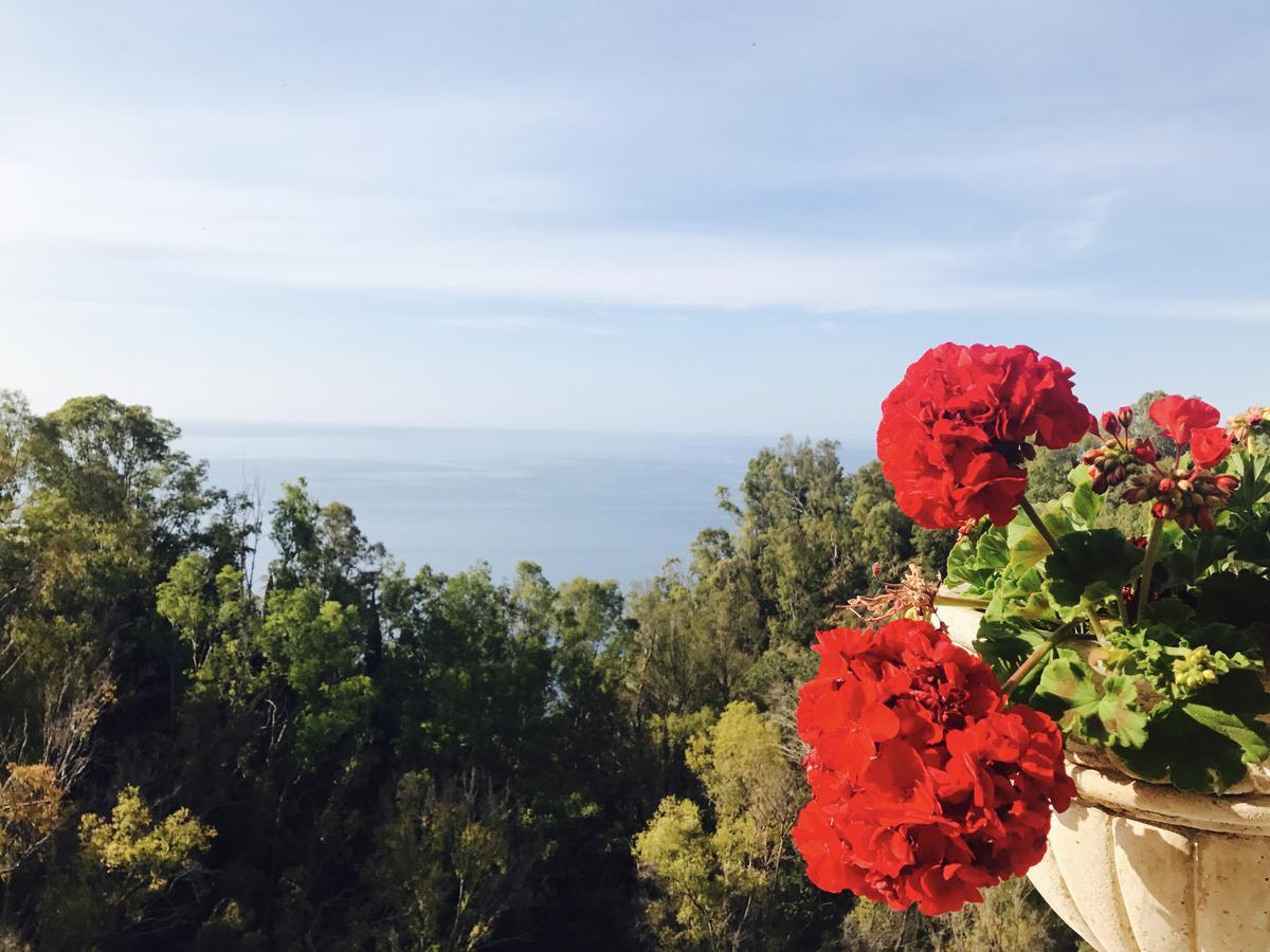 Hotel Villa Riis Taormina Exterior photo